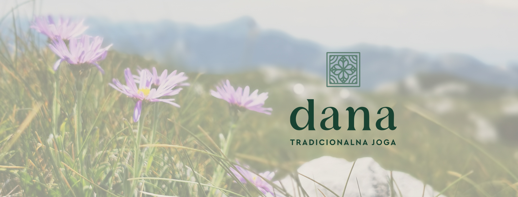 Read more about the article Uvod u meditaciju