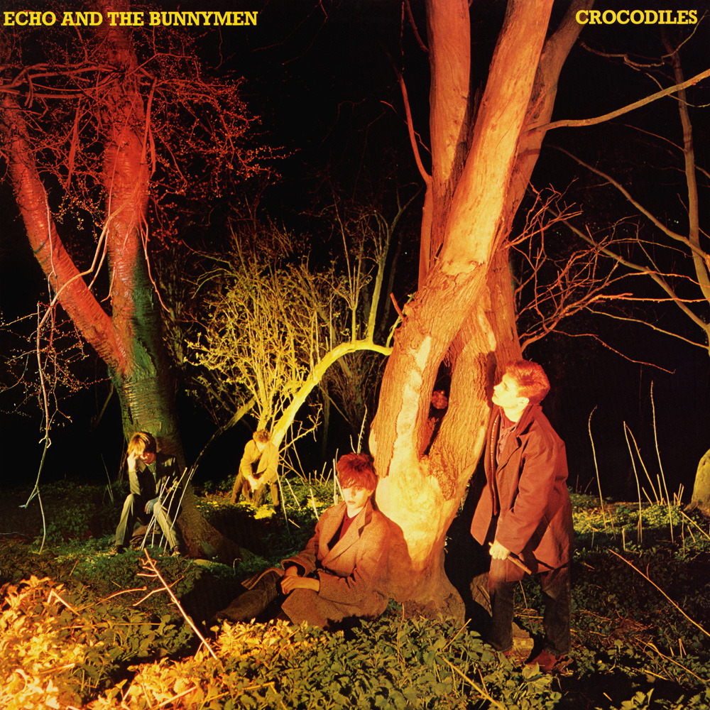 You are currently viewing Godišnjica objavljivanja debi-albuma Crocodiles benda Echo & the Bunnymen